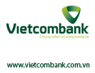logo30